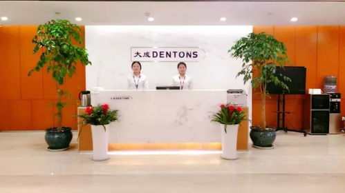 匯全國力量 筑大成之道——大成25周年境內(nèi)分所篇